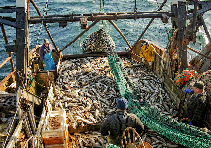 Kazakhstan, following Russia’s lead, bans Baltic fish