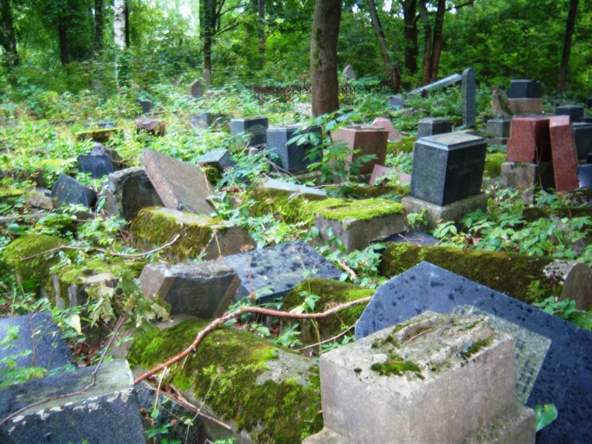 Zaliakalnis cemetery, Kaunas [Image: geolocation]