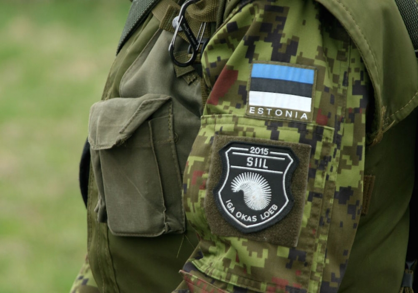 Estonia will lead the Baltic battalion during the Trident Juncture exercise [Image: defence matters]