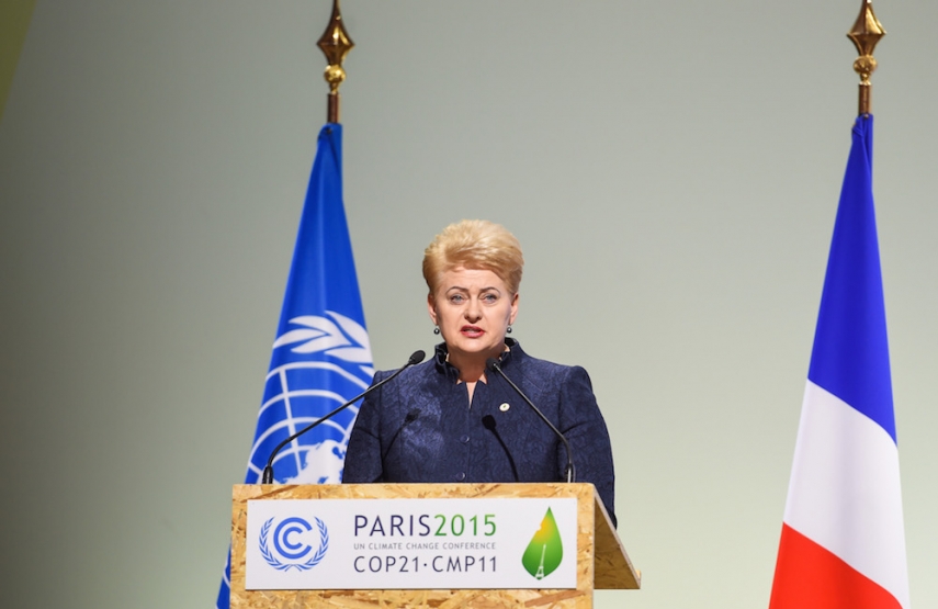Grybauskaite at the COP21 conference in Paris [Image: LRP.lt]