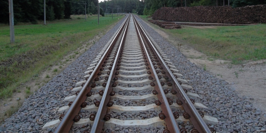 Rail Baltica in Lithuania [Gediminas/Lithuanian Wikipedia]