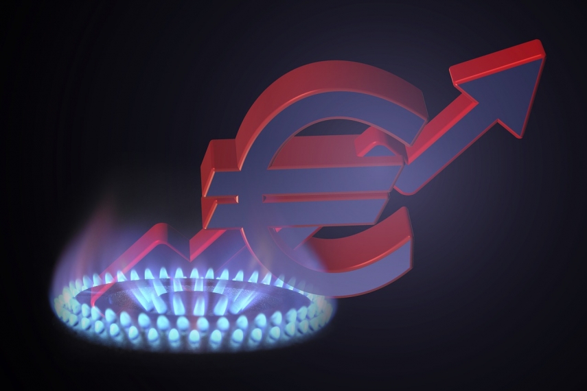 Lithuanian energmin urges EC to initiate gas cap