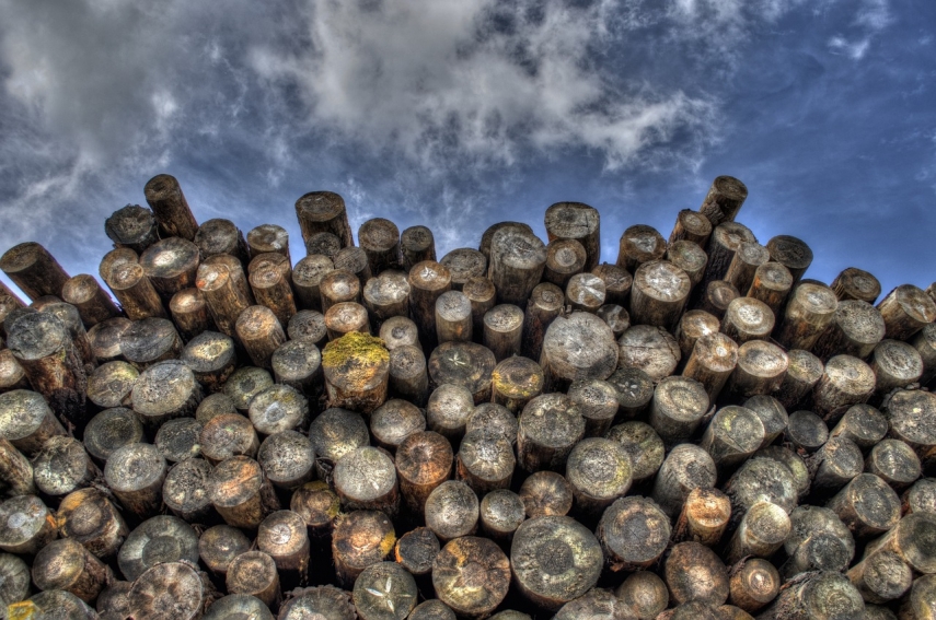 Estonia facilitates the use of wood waste as heating material