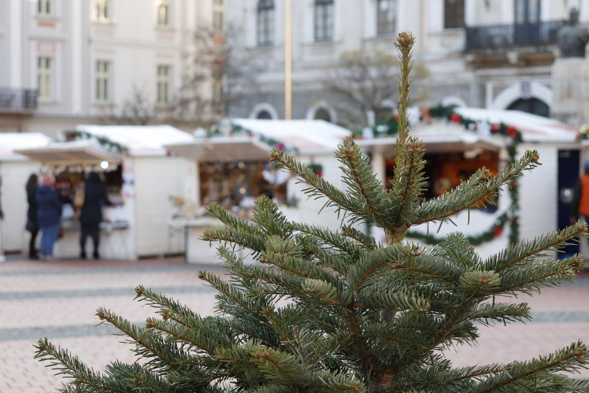 Christmas Market to return to Riga Old City after two-year interval