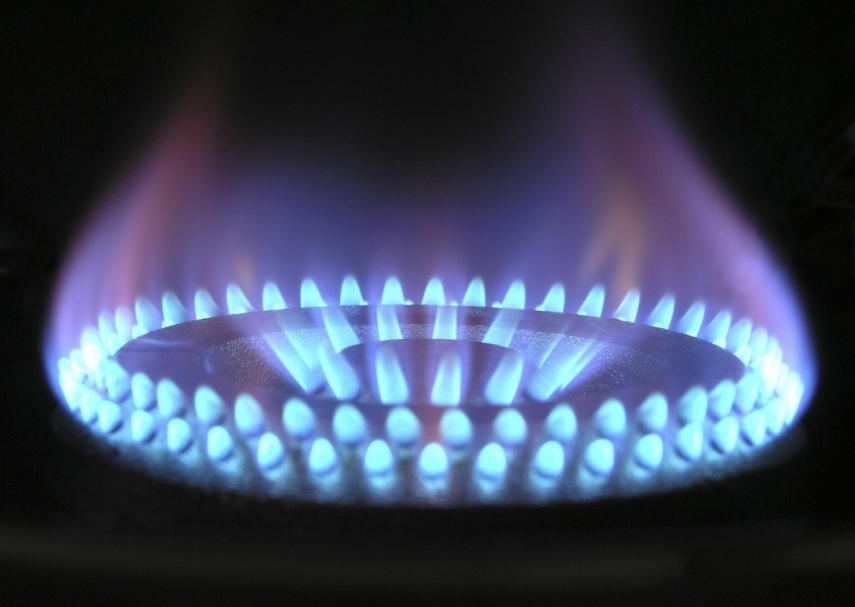 Azerbaijan plays important role in diversifying EU's natural gas supply routes - Levits
