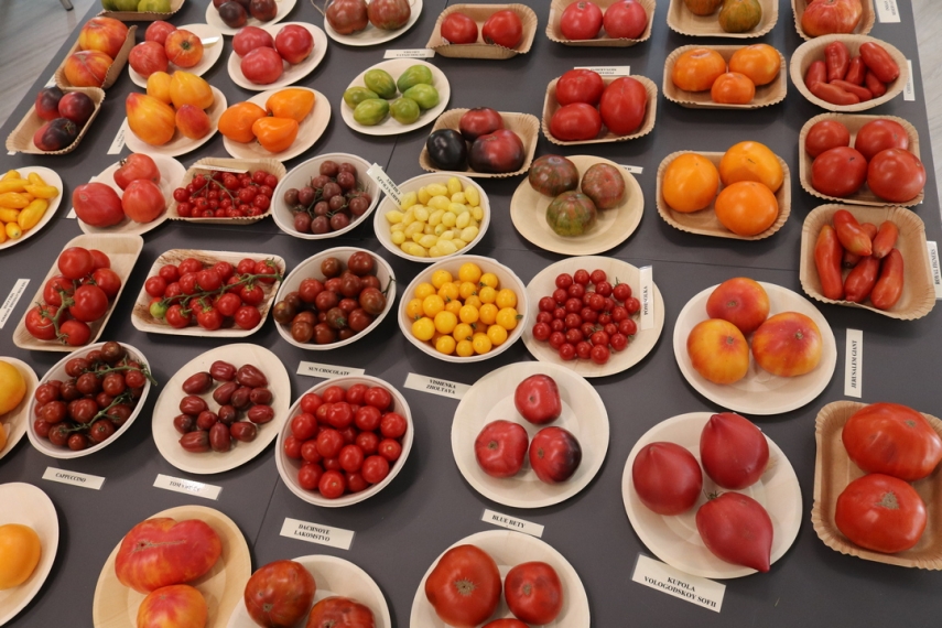Tallinn Botanic Garden opens its fifth Tomato Festival