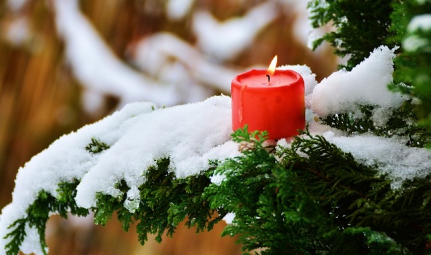 1st advent candle to be lit on Tallinn's Christmas tree this Sunday