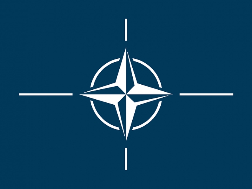 Lithuania, Poland to work together to beef up NATO's eastern flank – Nauseda
