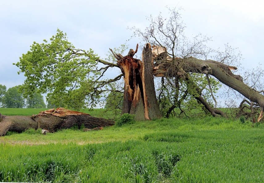 Firefighters tackle storm damage in Lithuania, 106,000 consumers still have no power