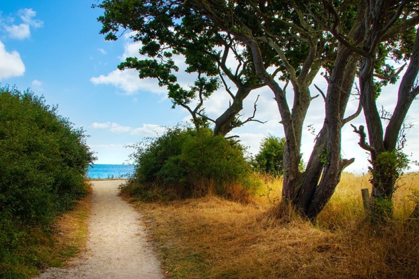 Top Beach Spots in Lithuania for Tourists