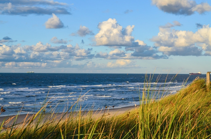 Photo: www.pixabay.com