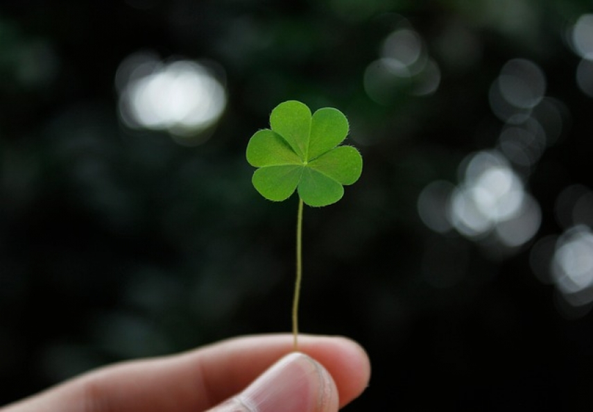 These Are the Websites Irish Users Visit the Most