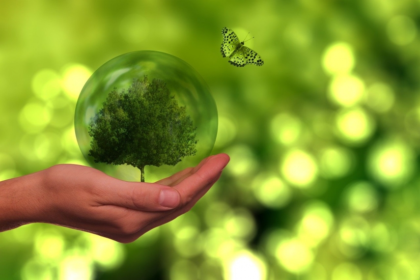 Why LATAM Is Turning Against False Environmental Claims— and How to Avoid Greenwashing Successfully