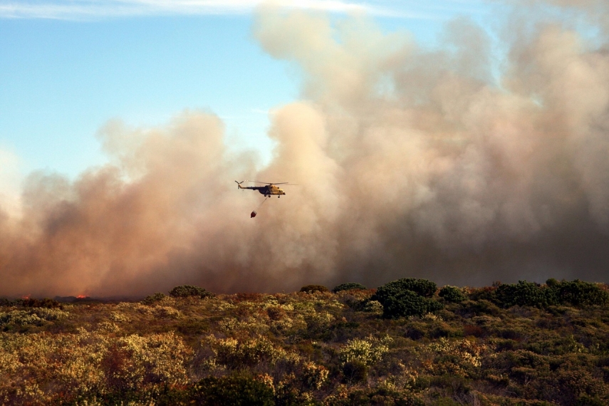 From Wildfires to GDP Losses: Why Madeleine Thomson Says Europe’s Heat Is a Health Emergency