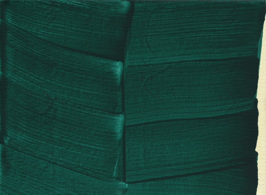 Vytautas Kasiulis Museum of Art opens a new exhibition that sets a stage for a shared dreamwork from leading artists