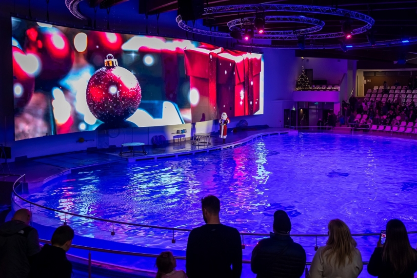 Photo: Alfonsas Mazunas