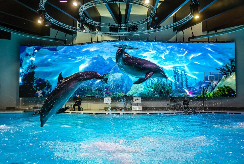 Photo: Alfonsas Mazunas