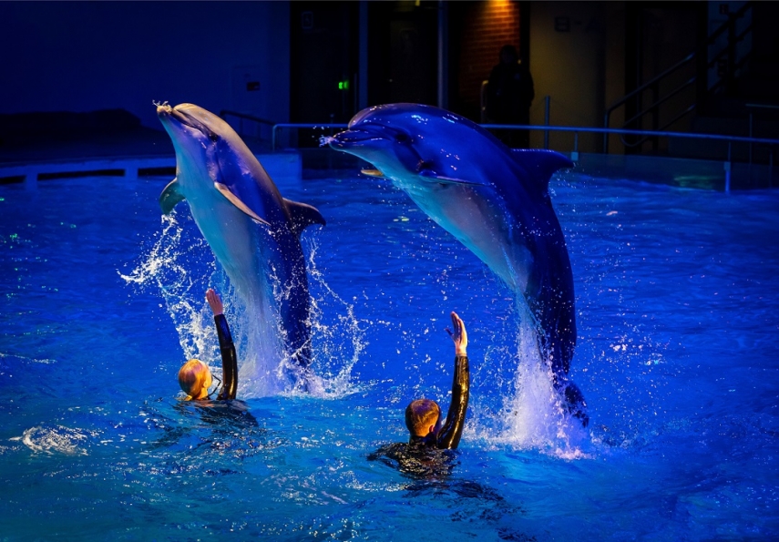 Photo: Alfonsas Mazunas