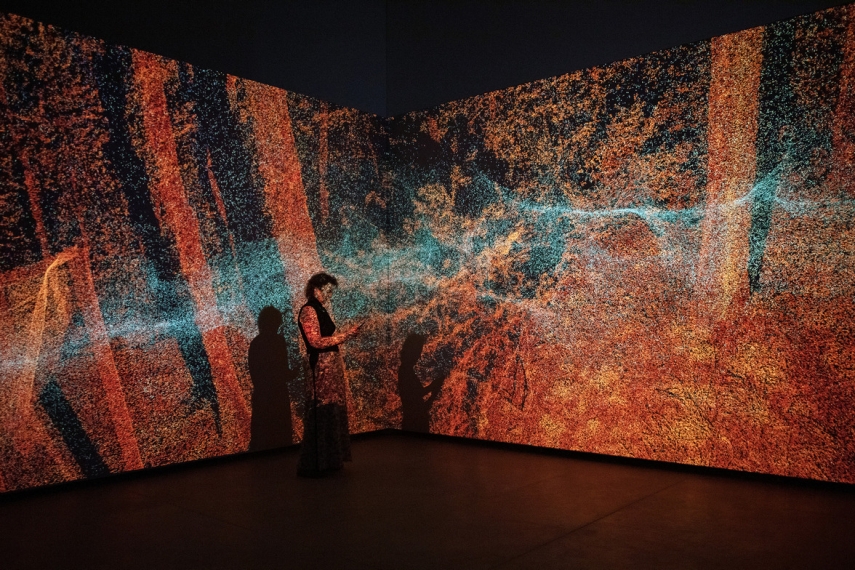 Photo: Rasa Šmite and Raitis Šmits, Atmospheric Forest, 2020