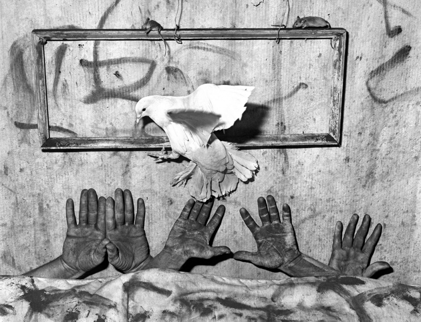World-renowned photographer Roger Ballen will visit Latvia with a lecture at ISSP and a retrospective exhibition at the Mark Rothko Art Centre