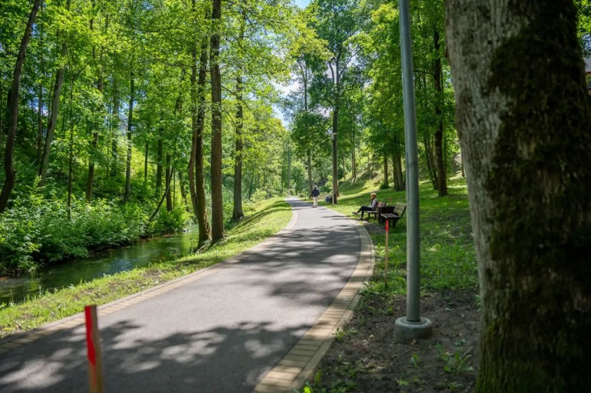 Photo: A bike lane through the lush greenery