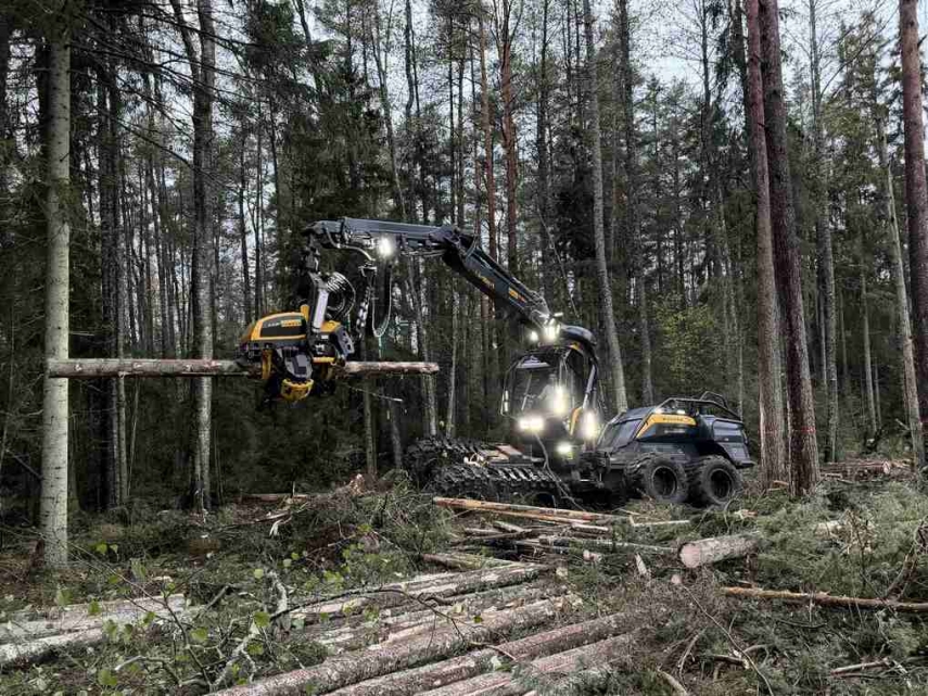 Luminor Bank grants €3 million in financing to forestry company Timbro