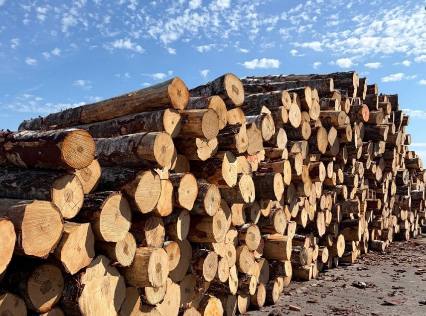 Luminor grants more than EUR 1 million in financing for the development of RĒZEKNES MEŽS