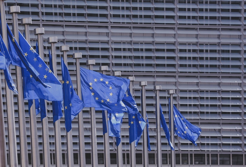 European Parliament: Foreign interference is an attack on all Europeans - The Baltic Times