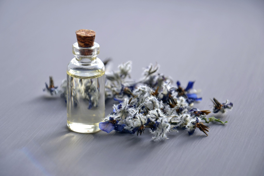 Photo: Mareefe from Pixabay